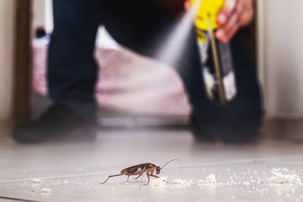 Best Wildlife Control Services  in Humboldt, TN
