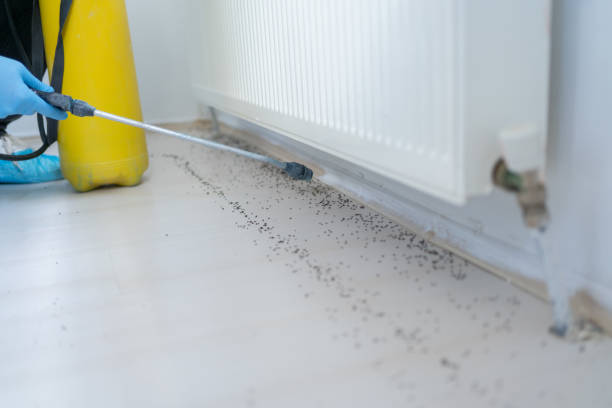 Best Exterminator Services  in Humboldt, TN