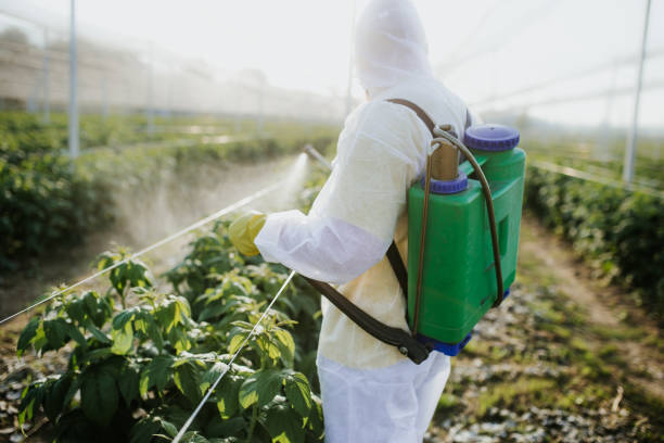 Best Bed Bug Extermination  in Humboldt, TN